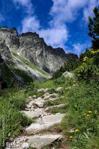 Fototapeta Naklejka Na Ścianę i Meble -  Summer High Tatras mountains landscape