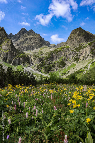 Fototapeta Naklejka Na Ścianę i Meble -  Summer High Tatra mountains landscape