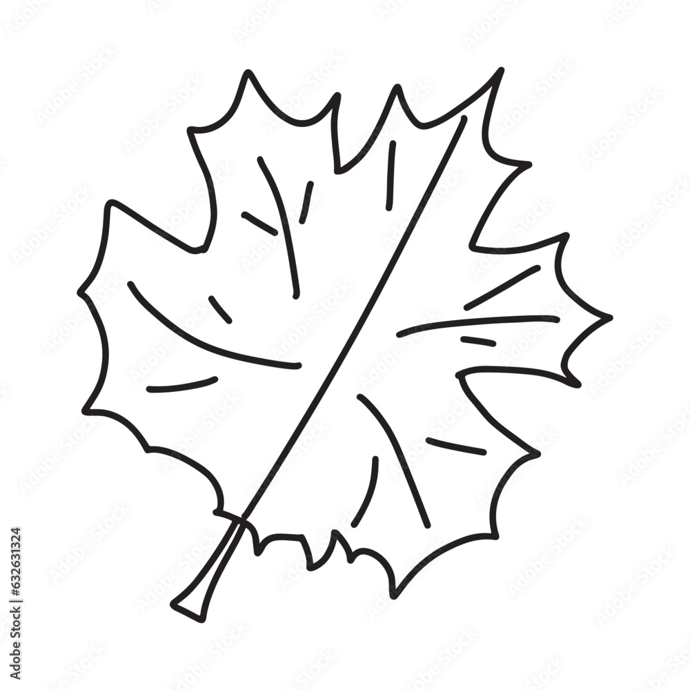 Naklejka premium Maple leaf. Doodle school element. Back to school kids knowledge education.