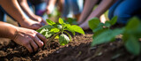 communities working together to create green spaces and urban gardens