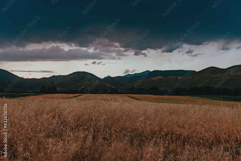Agricultural field on mountains background before the storm at twilight