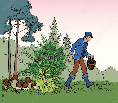 Vector drawing. Man picking mushrooms in the forest