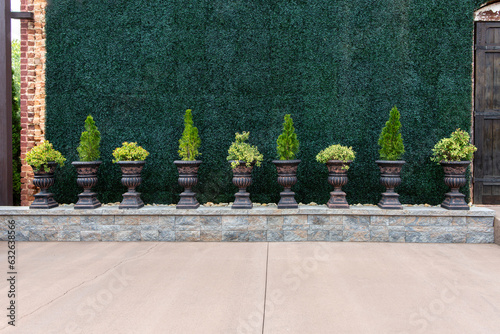 Potted Plants on Stone Wall in Garden photo