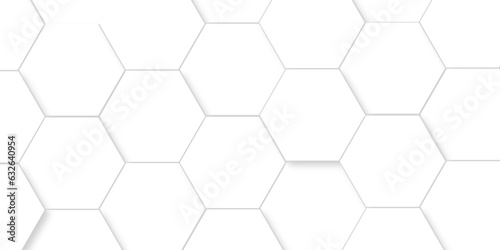 Background with white and black lines 3d Hexagonal structure futuristic white background and Embossed Hexagon , honeycomb white Background ,light and shadow ,Vector.