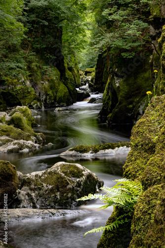 Fototapeta Naklejka Na Ścianę i Meble -  Fairy Glen, a mountain river tumbling over rocks through a narrow gorge, Snowdonia, Wales; Ffos Anoddun in Welsh