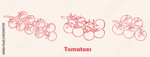 Tomatoes, tomato branch , logo , cherry tomatoes , drawing, package design element, vector illustration, red vegetables , package logo