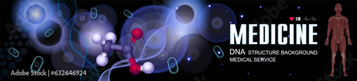 DNA background. Structural DNA chain with molecular bond. Anatomical man with muscles. Human genotype and DNA anatomy. Creative medical background
