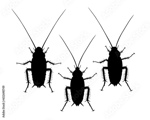 Cockroach monochrome vector isolated on white background. Pest insect. Bug top view
