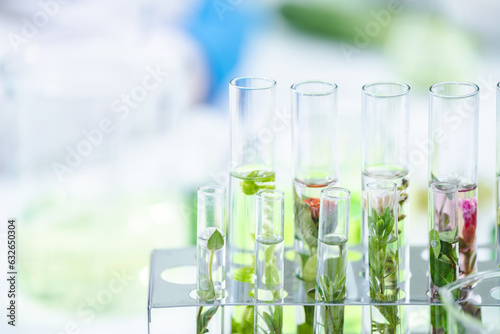Natural organic green botany laboratory with scientific glassware, Alternative herb medicine or skin care beauty products, Plant cosmetic chemistry research and dermatology development concept.