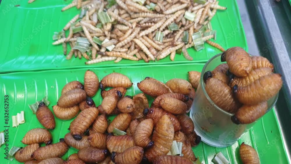 Larva palm and bamboo worm weevil deep fried fat insect snack sell exotic food in Southeast Asia market