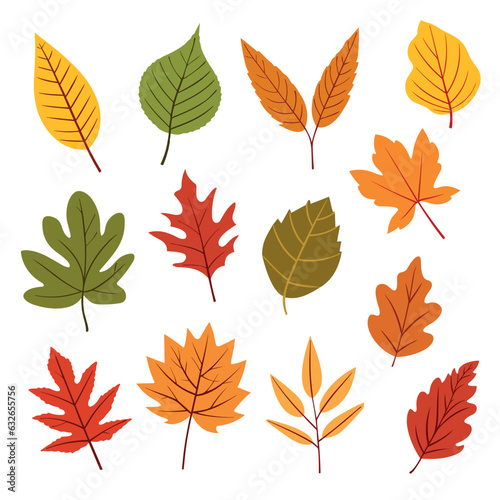Set of colorful autumn leaves isolated on white background. Vector stock