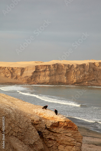 Paracas is a city on the west coast of Peru. It is known for its beaches, such as El Chaco, located in the sheltered bay of Paracas. The city is a departure point to the uninhabited Ballestas Islands.