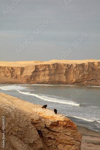 Paracas is a city on the west coast of Peru. It is known for its beaches, such as El Chaco, located in the sheltered bay of Paracas. The city is a departure point to the uninhabited Ballestas Islands.