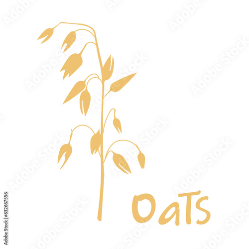 Cereal plants, agriculture industry organic products oat flakes