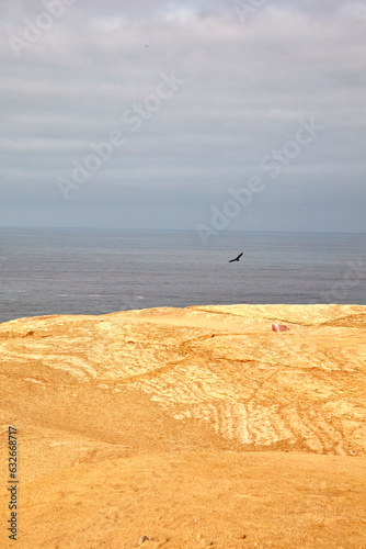 Paracas is a city on the west coast of Peru. It is known for its beaches, such as El Chaco, located in the sheltered bay of Paracas. The city is a departure point to the uninhabited Ballestas Islands.