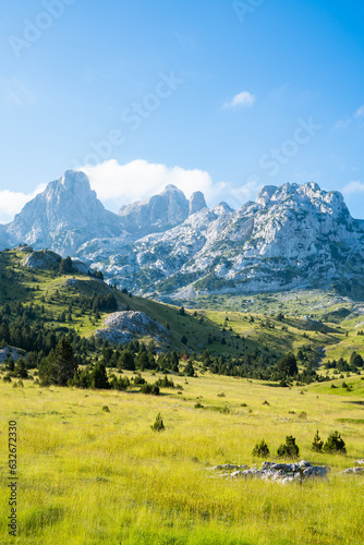 A beautiful green valley on a mountain with peaks in the background photo