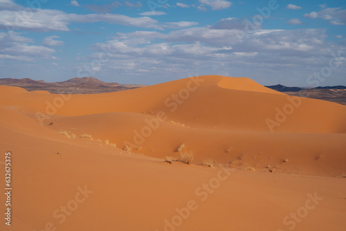 Sahara Morocco: Majestic desert expanse, offering golden dunes, captivating landscapes, and an enchanting experience under the starlit desert skies. High quality photo