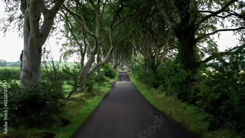 Dark Hedges in Ballymoney, Northern Ireland