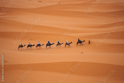 Camels in Sahara Morocco  Experience desert journeys atop these gentle creatures  exploring the vast dunes and embracing the magic of the Sahara. High quality photo