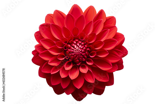 Foto photorealistic close-up of a red dahlia on white background isolated PNG