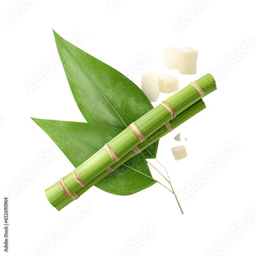 Sugar cane with leaves, cut out.