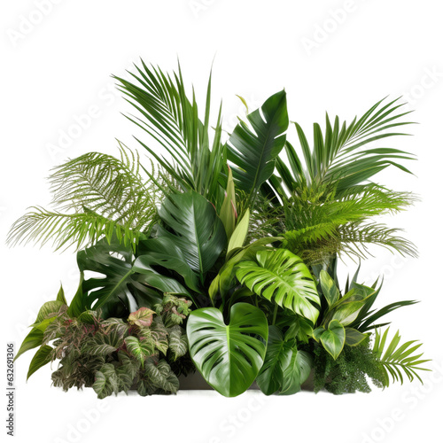 Tropical foliage arrangement indoors with white background.