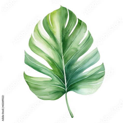 Tropical leaf watercolor illustration, jungle botanical design.