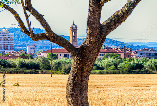 Rural views in the fields of La Bisbal photo