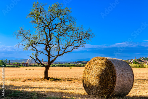 Rural views in the fields of La Bisbal photo