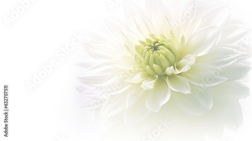Dahlia petals macro. Chrysanthemum flower head. Floral abstract background. Generative AI. Illustration for banner, poster, cover, brochure or presentation. © Login