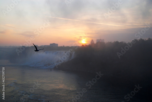 sunrise at the American Niagara Falles with bird flying by in the foreground