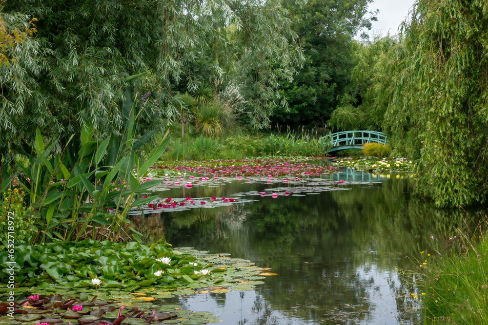 Water Garden with water lilies and a bridge