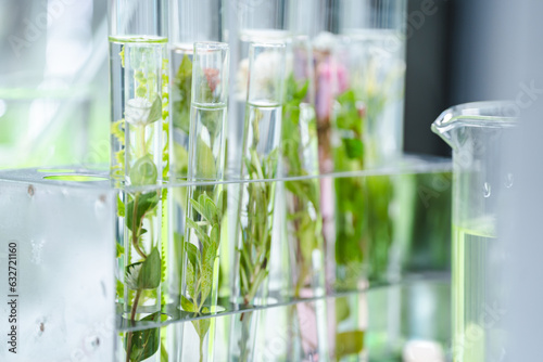 Natural organic green botany laboratory with scientific glassware, Alternative herb medicine or skin care beauty products, Plant cosmetic chemistry research and dermatology development concept.
