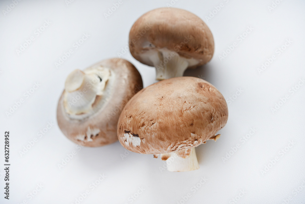 Mushrooms on a white background. Edible mushrooms from the store. Beautiful mushrooms. Mushrooms on a white background. Edible mushrooms from the store. Beautiful mushrooms.