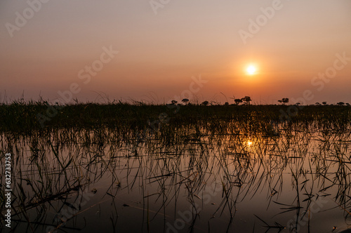 Telephoto shot of a beautiful sunset in the Okavango Delta in Botswana. © Goldilock Project