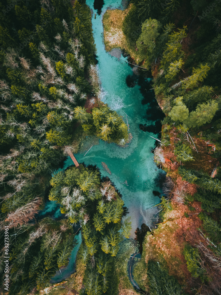 aerial view of forest wild river