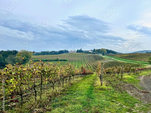 Castelfiorentino 's vineyards in autumn season on our way to Gambassi Terme photo