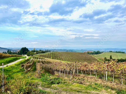 Castelfiorentino 's vineyards in autumn season on our way to Gambassi Terme photo