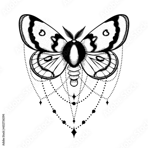 Vector moth, mystic geometric decoration, symbol and signs. Witchcraft, occult, alchemical signs. Butterfly moth vintage engraved style
