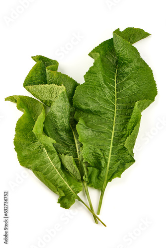 Horseradish leaves, isolated on white background.