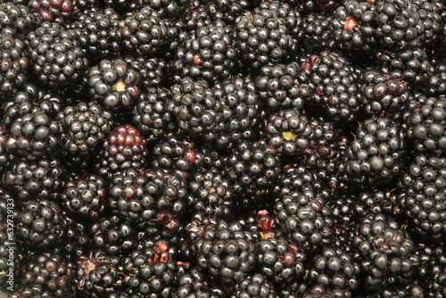 close up of blackberry , background macro fruits