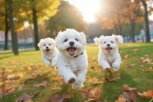 Group of puppies running and playing in the park, generative ai © GHart