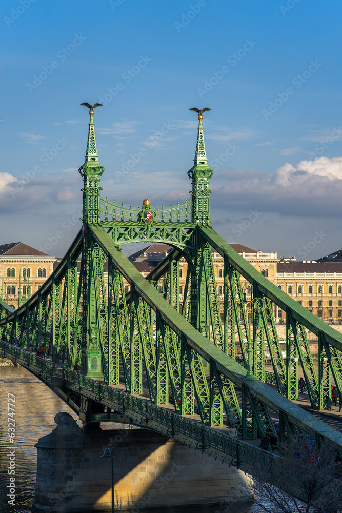 Fototapeta premium budapest bridge over the river