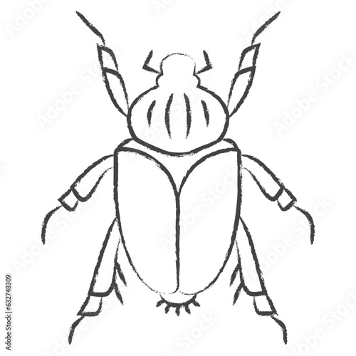 Hand drawn Goliath beetle illustration icon