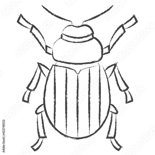 Hand drawn leptinotarsa decemlineata illustration icon photo