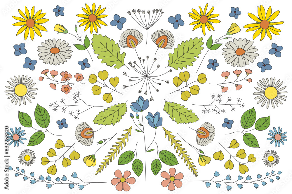 Beautiful set of wild flowers and leaves. Every element is different. Coloured ornament on white background