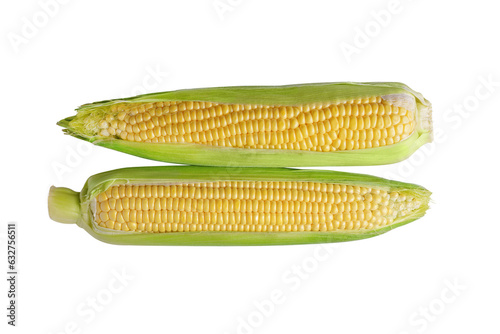 Two fresh yellow ear of corn with green leaves isolated on white, transparent background, PNG. Food ingredient, design element, farm, harvest, agriculture.