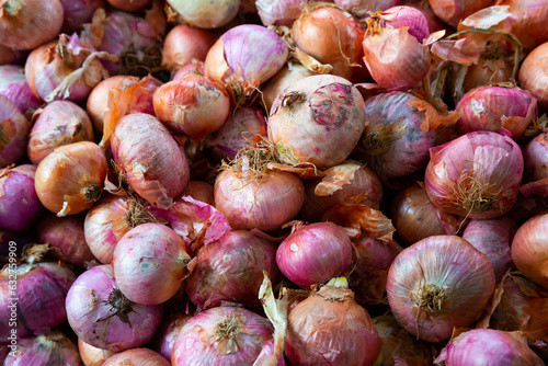 Pile of different onion varieties on market counter. High quality photo