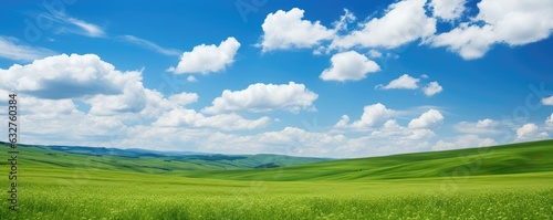 Green field and blue sky with clouds. Panoramic landscape