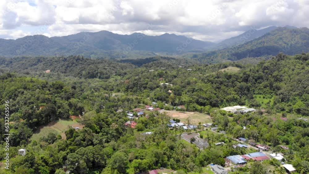 custom made wallpaper toronto digitalAmazing bird eye view of tropical greenery on a bright day